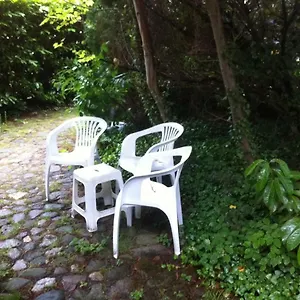 Gemütl. Und Apartment